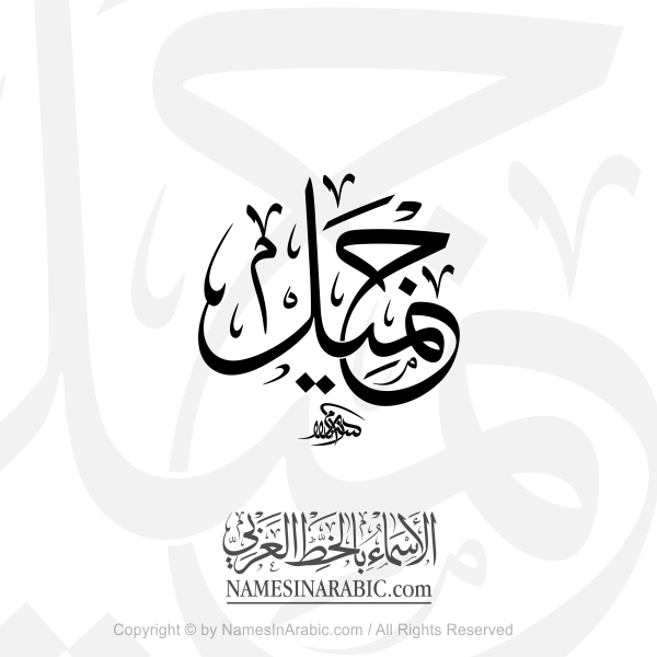 Jamil Name In Arabic Thuluth Calligraphy
