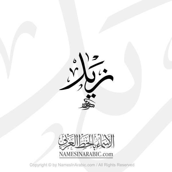 Zaid Name In Arabic Thuluth Calligraphy