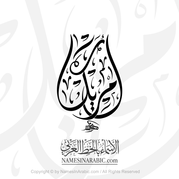 America In Arabic Diwani Calligraphy
