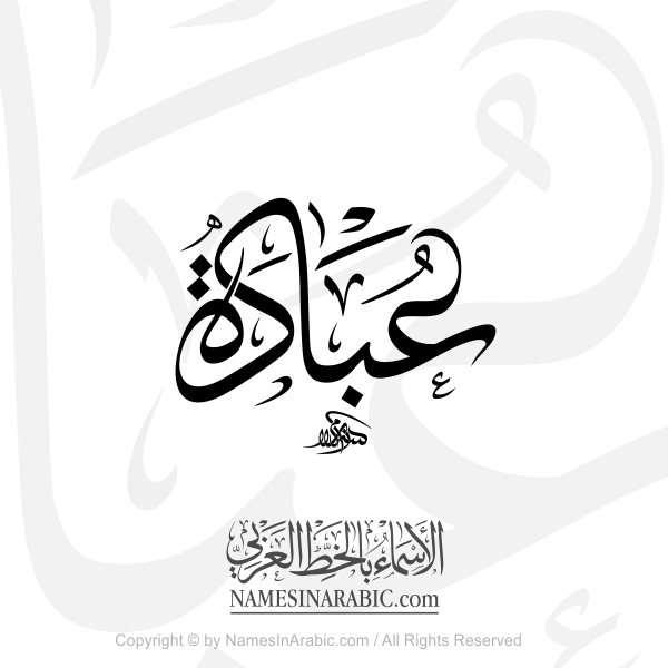 Ubadah Name In Arabic Thuluth Jali Calligraphy